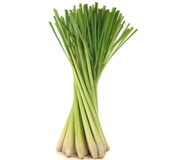 Lemon-Grass