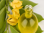 Ylang-Ylang-Essential-Oil